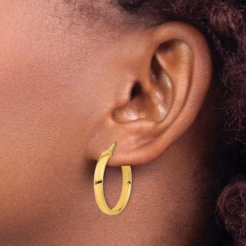 14k Yellow Gold Polished Earrings