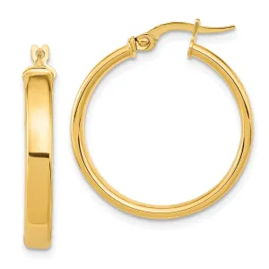 14k Yellow Gold Polished Earrings