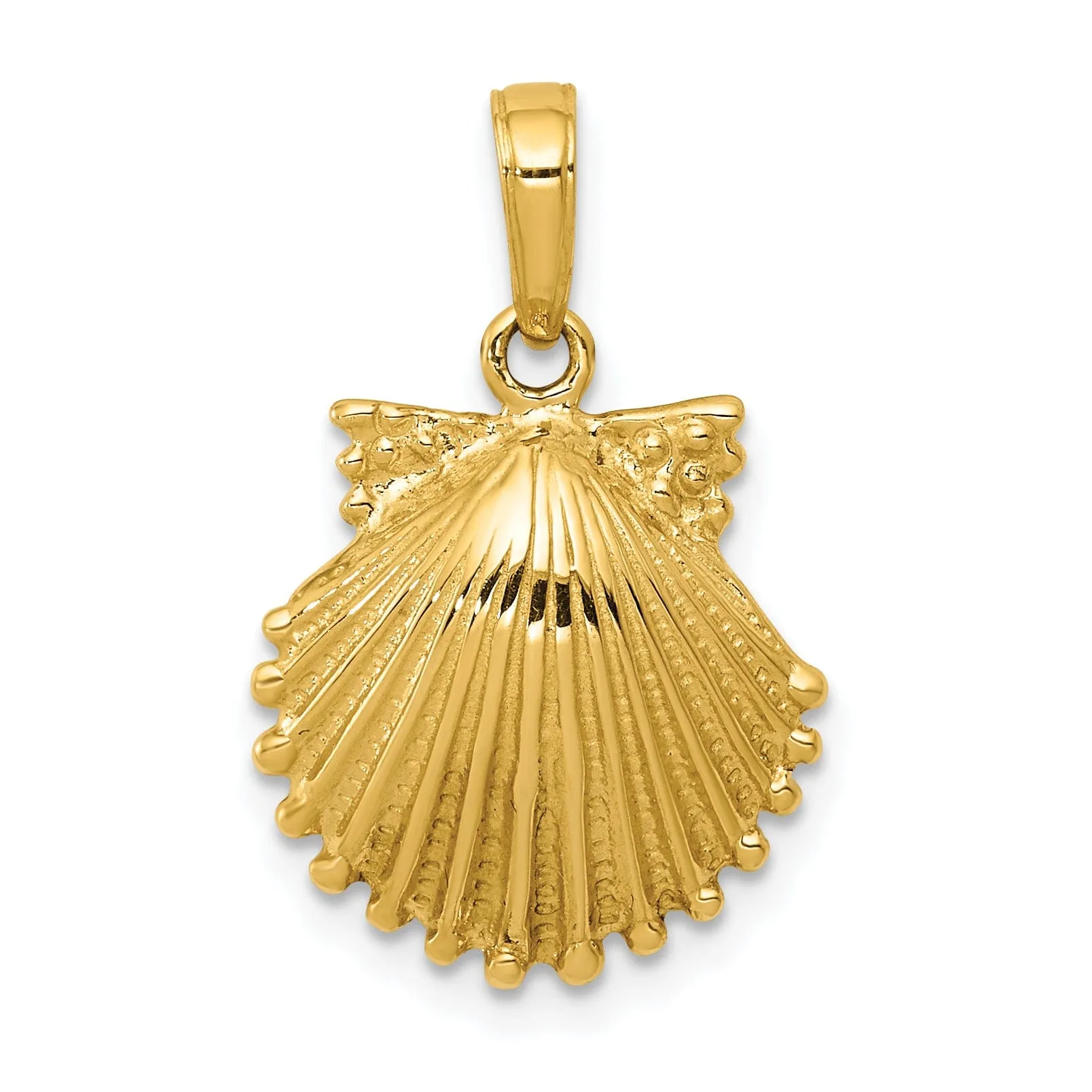 14k Yellow Gold Solid Polished Textured Finish Scallop Shell Charm Pendant