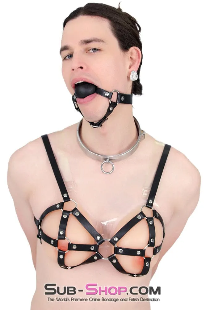 9877RS-SIS      Gia Real Forced Feminization Fantasy Female Led Relationship Feel Silicone Crossdressing Sissy Breast Forms with Nipples and Clear Straps, DD Cup