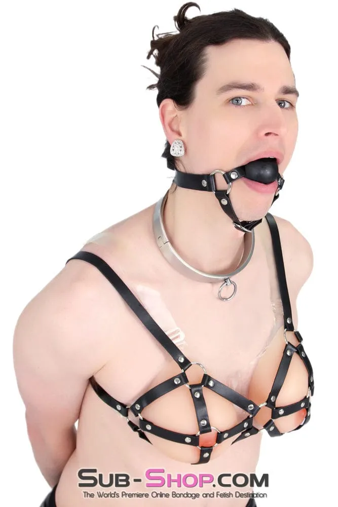 9877RS-SIS      Gia Real Forced Feminization Fantasy Female Led Relationship Feel Silicone Crossdressing Sissy Breast Forms with Nipples and Clear Straps, DD Cup