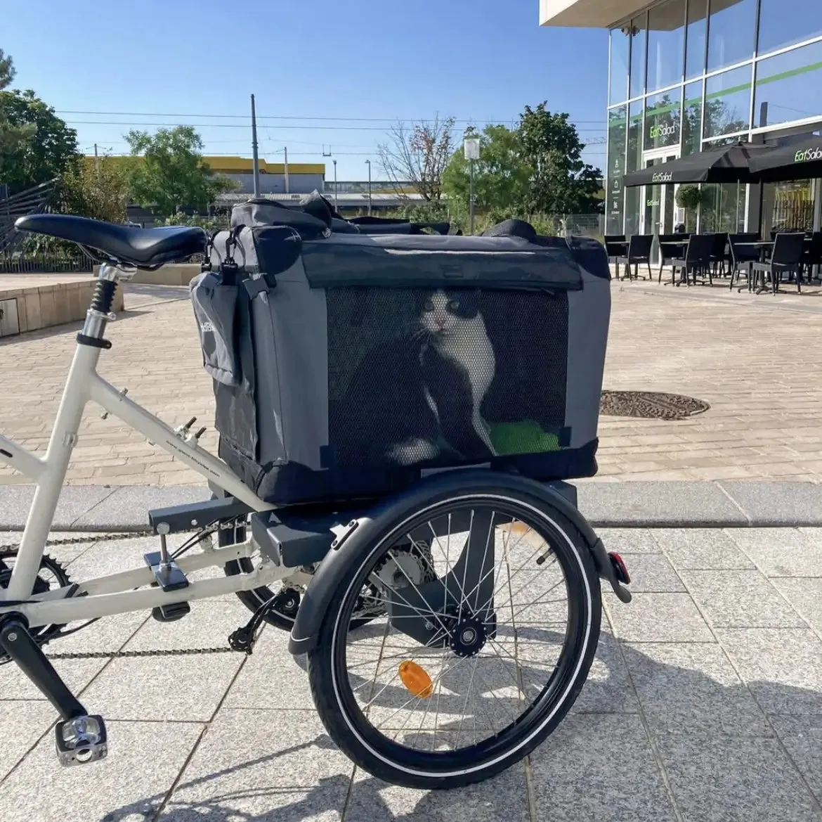 AddBike B-Back Box Pet | Tricycle Dog Bike Trailer
