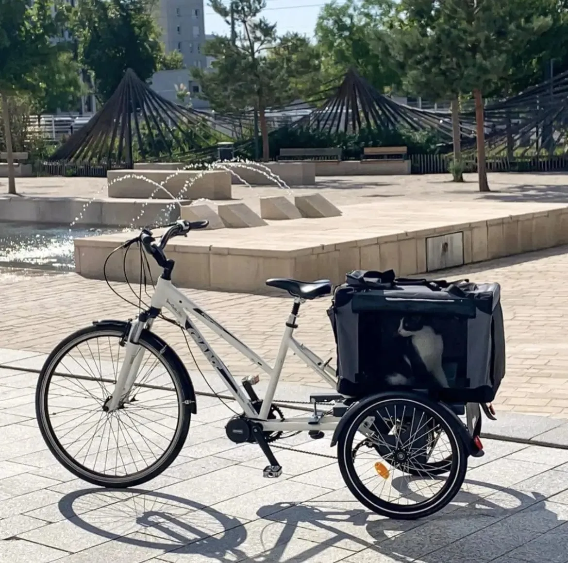 AddBike B-Back Box Pet | Tricycle Dog Bike Trailer