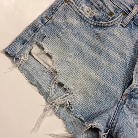 Agolde Parker Vintage Cut-Off Short
