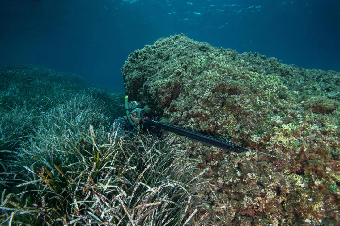 Arbalète chasse sous-marine os de seiche 90 cm - SPF 500 CB connectée