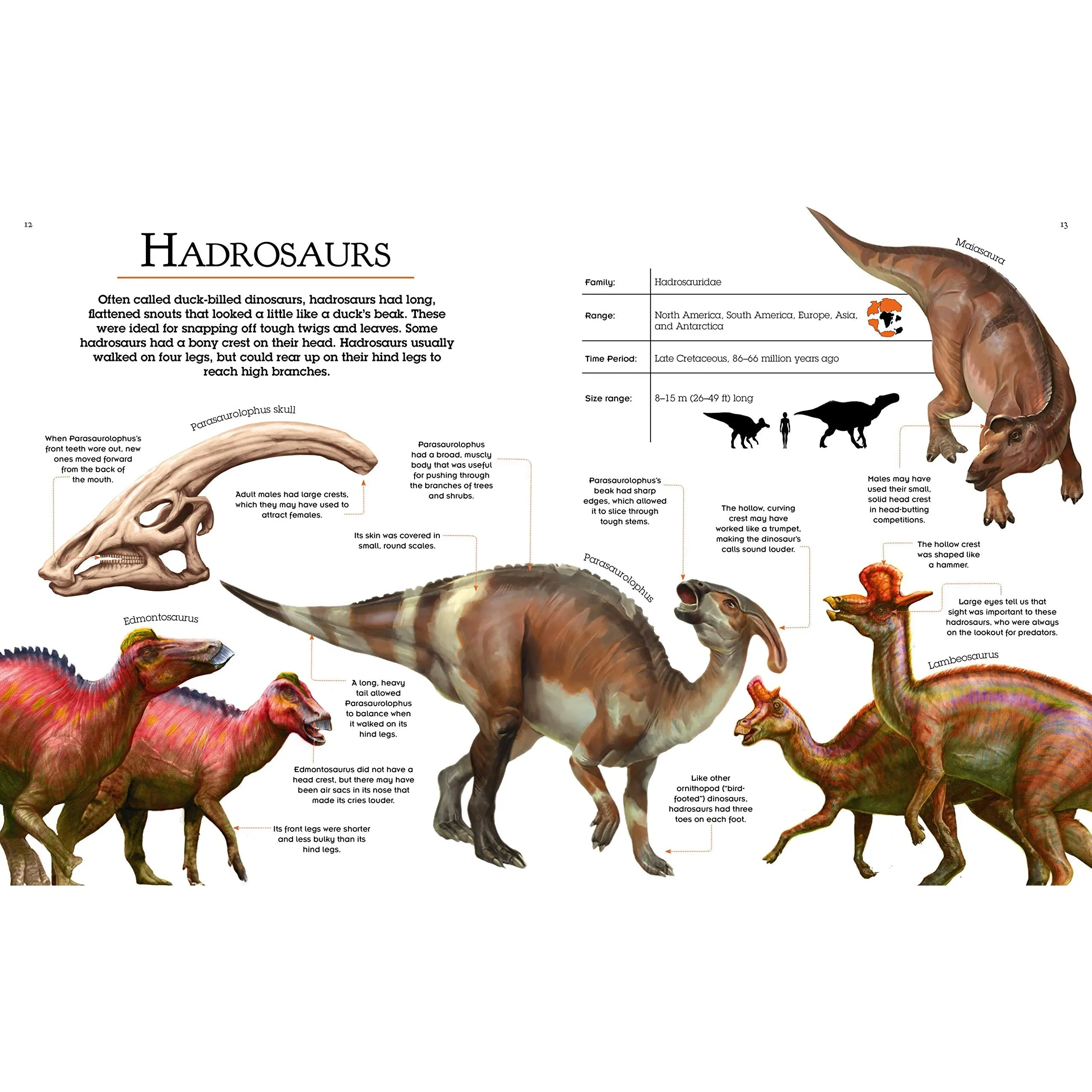 Baker & Taylor: The Ultimate Book of Dinosaurs (Hardcover Book)