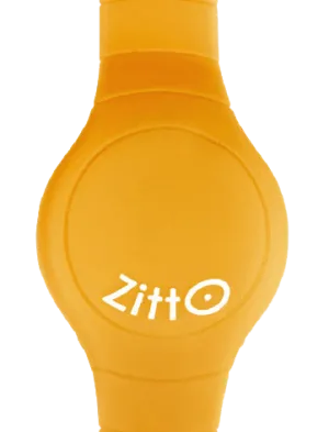 BASIC POWER ORANGE