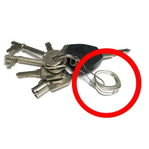 Borrowed Ring to Key Ring -  <span style="color: red;">FREE SHIPPING!</span>