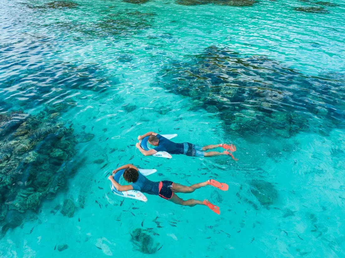 Bouée d’observation de snorkeling Olu 120 fish