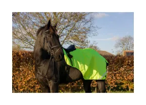 Cameo Equine Hi Viz Exercise Sheet - Waterproof, 360 Degree Reflective