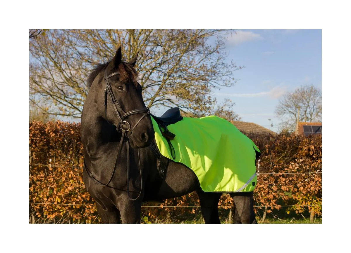 Cameo Equine Hi Viz Exercise Sheet - Waterproof, 360 Degree Reflective