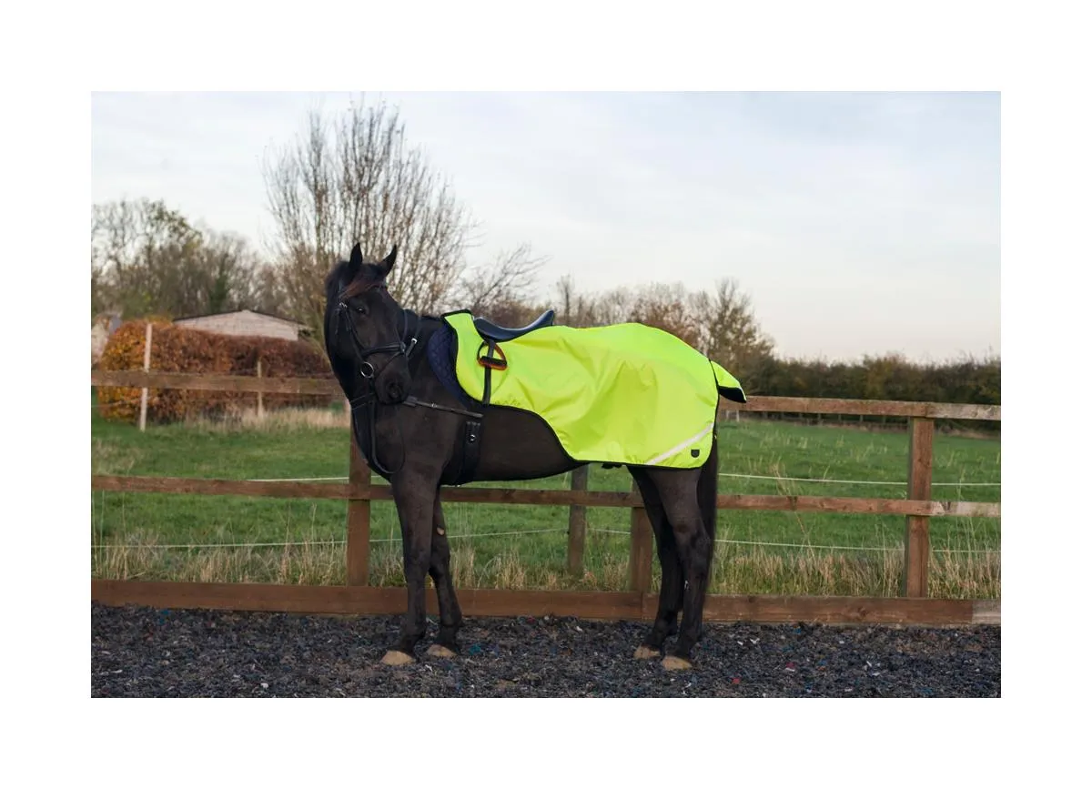 Cameo Equine Hi Viz Exercise Sheet - Waterproof, 360 Degree Reflective