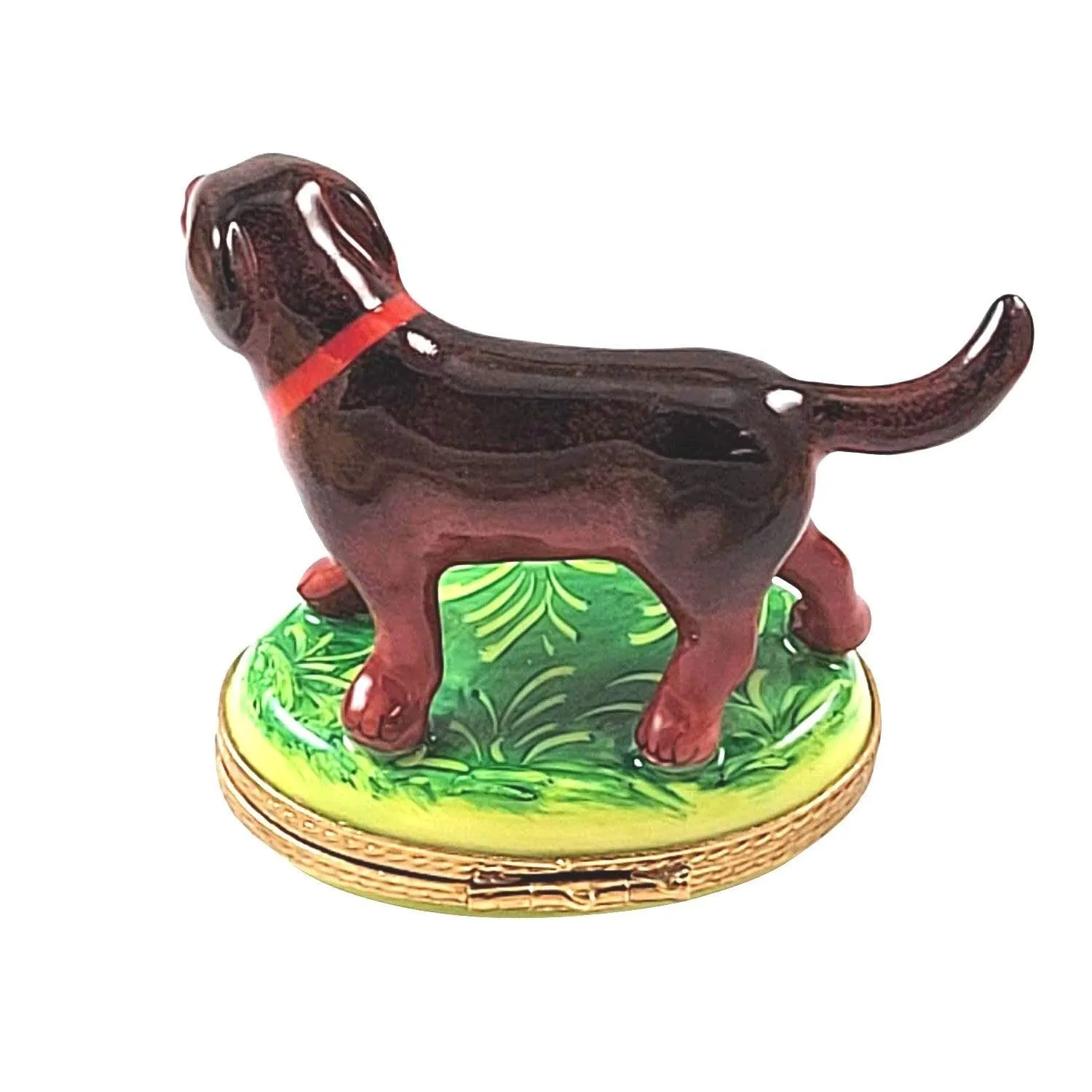 Chocolate Labrador Standing