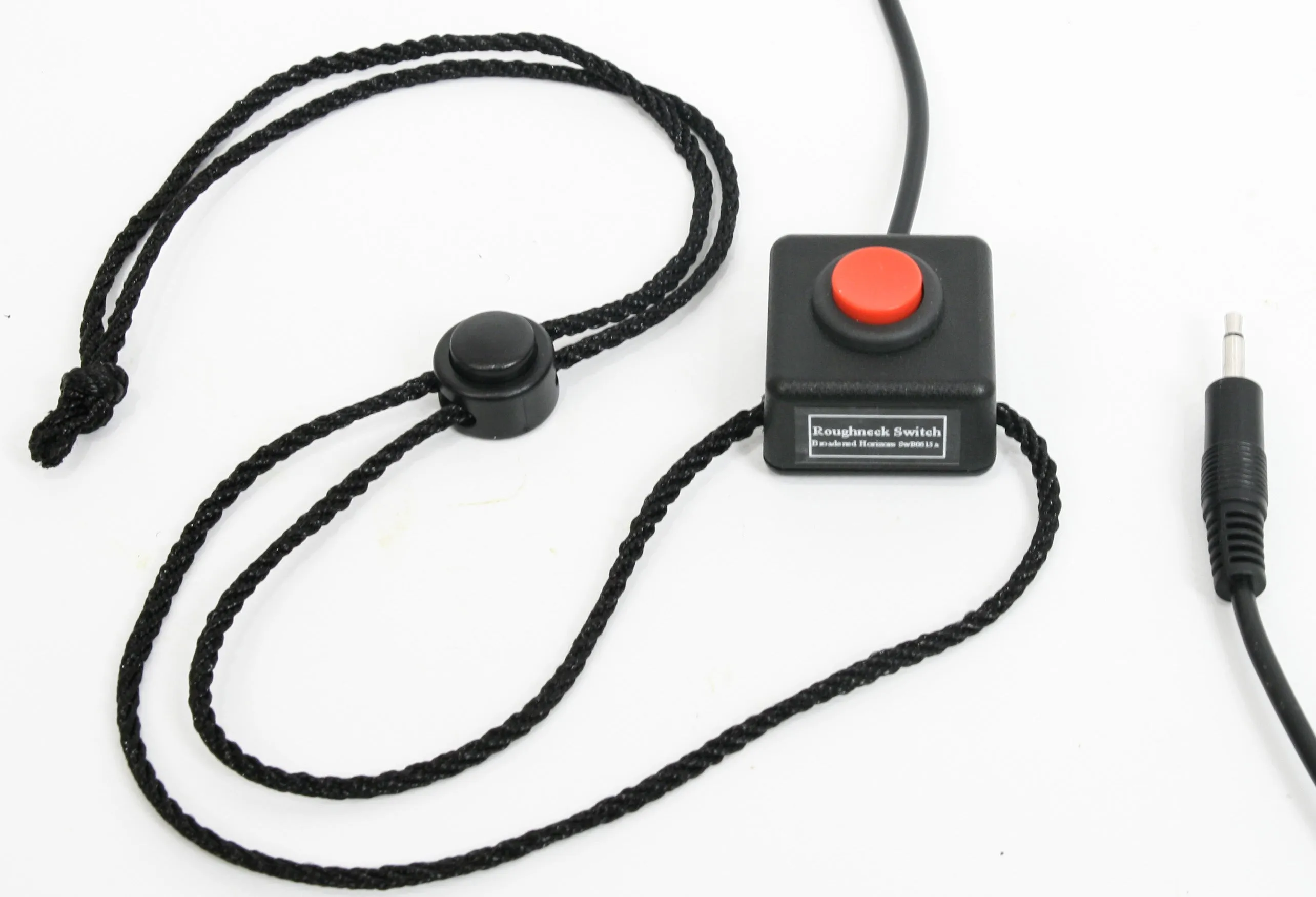 Choice of Full-Torque Ability Switches for Electric Fishing Reels