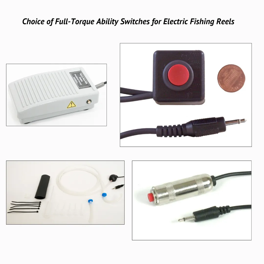 Choice of Full-Torque Ability Switches for Electric Fishing Reels