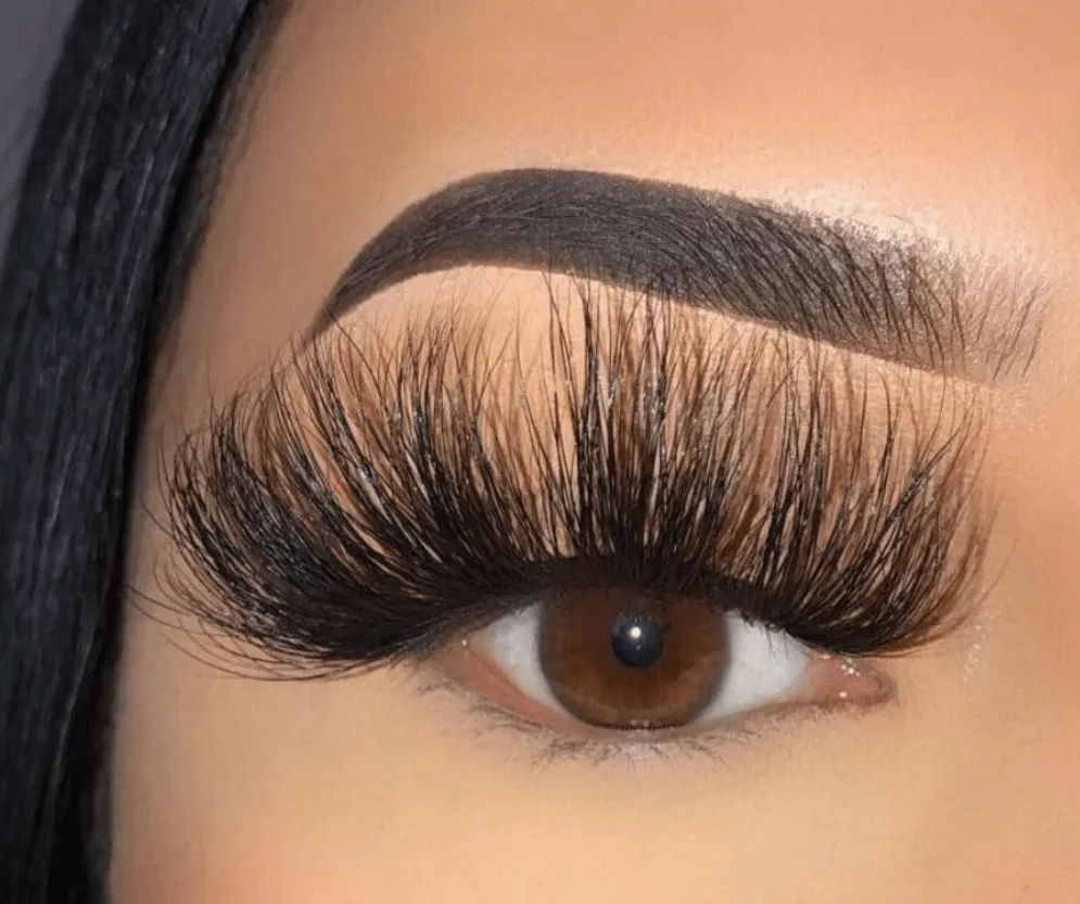 Conceited Lashes