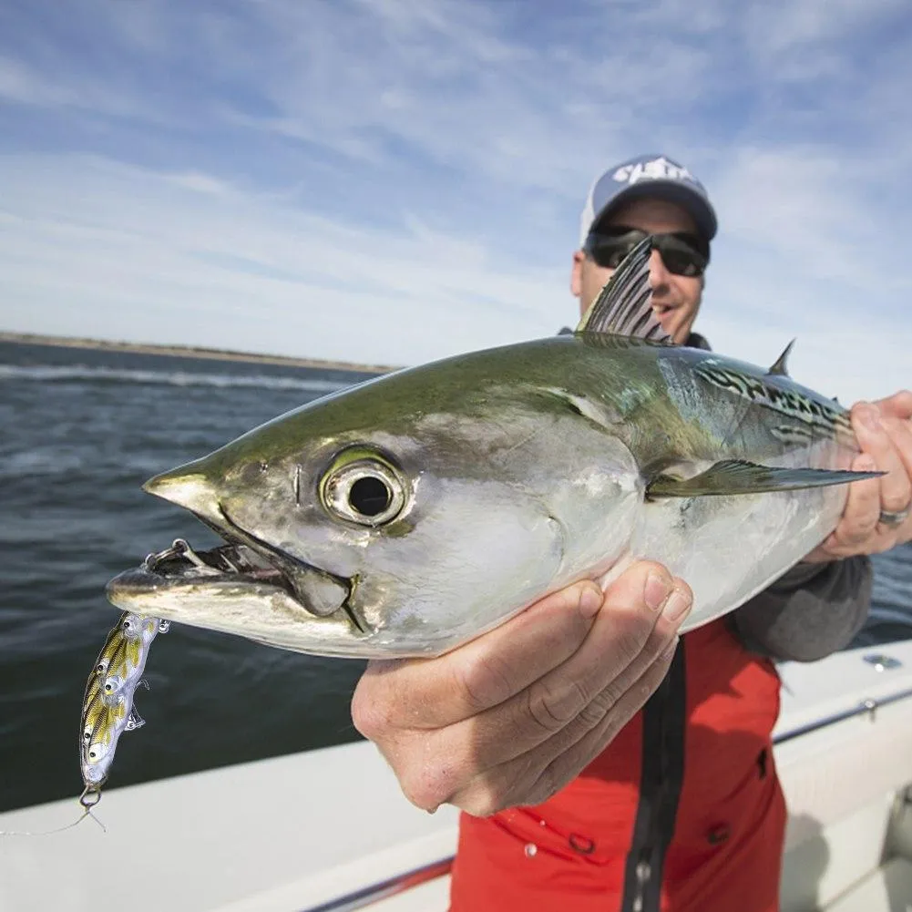 Conjoined Fish Lure