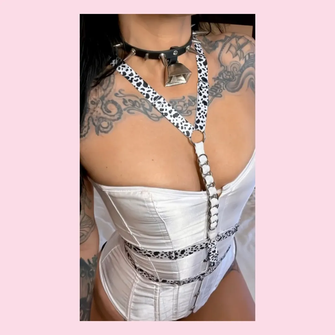 Cow bell faux or leather collar