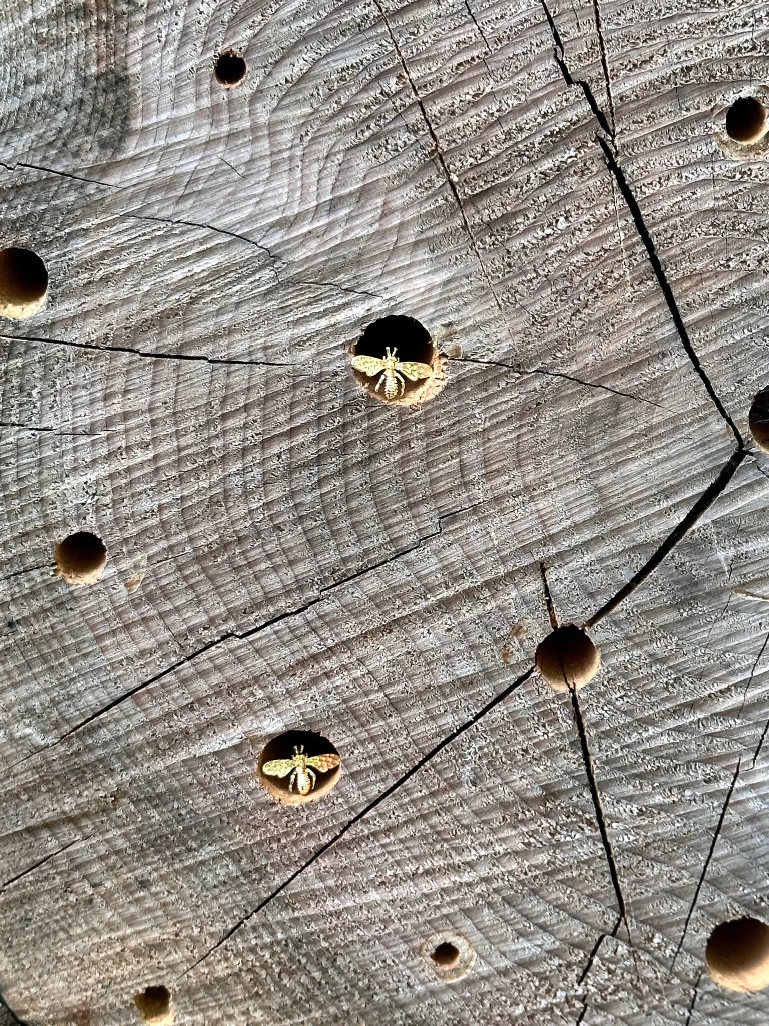 Dainty Brass Bee Stud Earrings