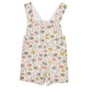 DANTAE DUNGAREES