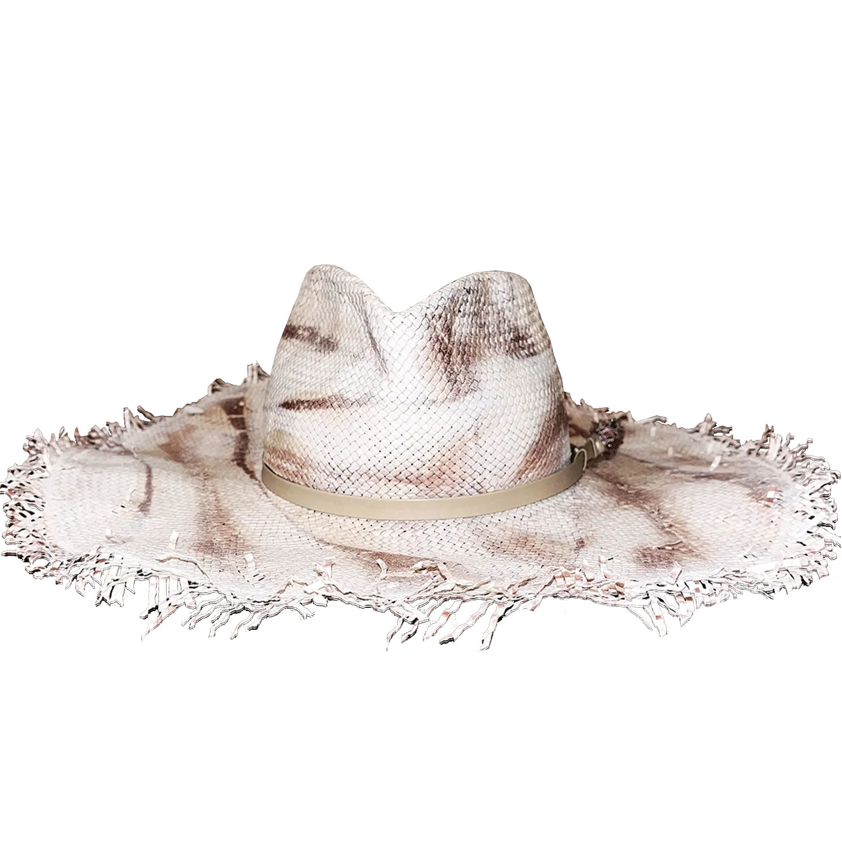 desert snake