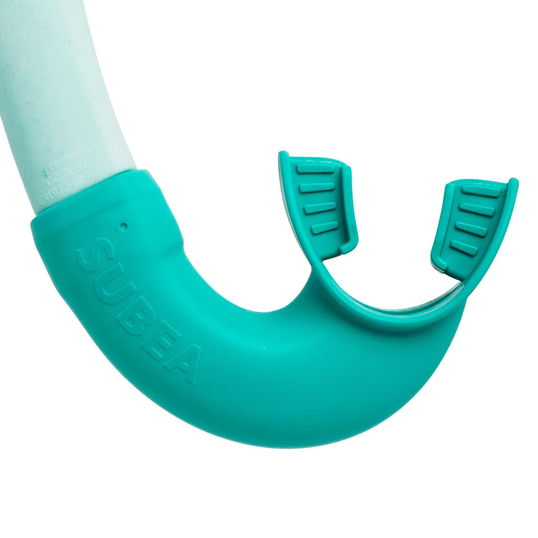 Diving snorkel 100