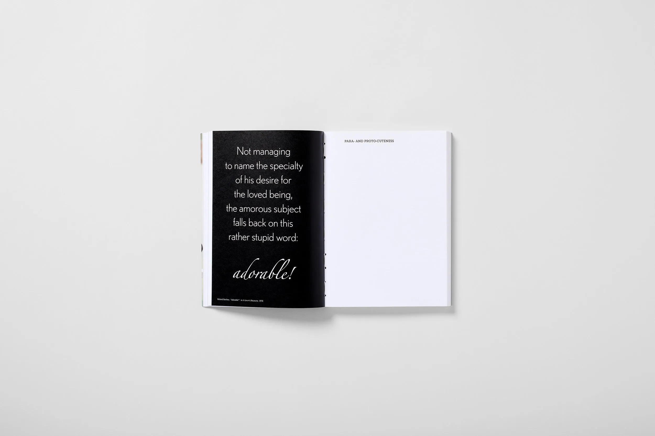 Documents of Contemporary Art: The Cute