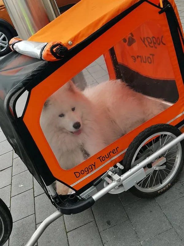 Doggy Tourer Idefix Small Dog Bike Trailer