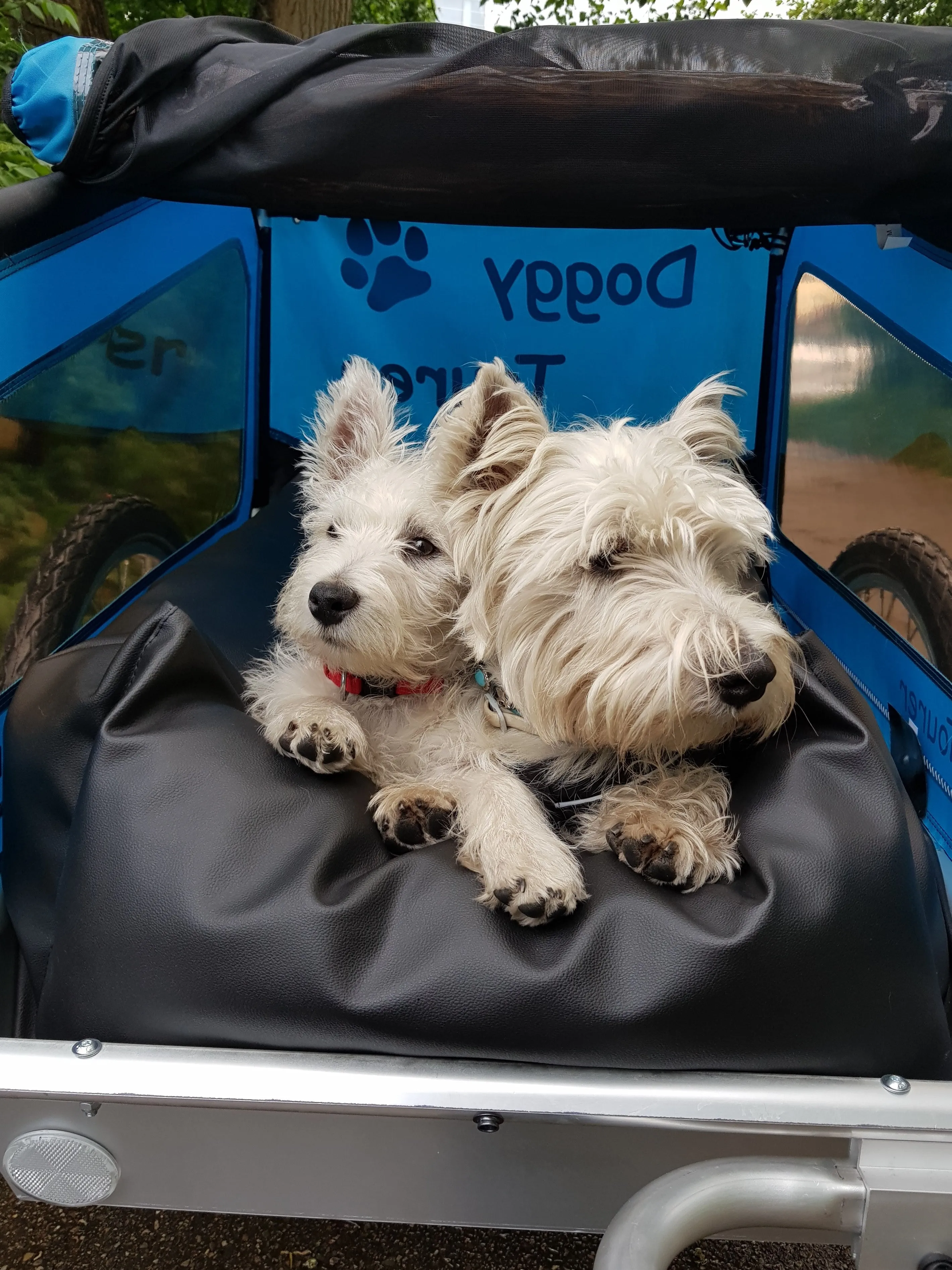 Doggy Tourer Snoopy Medium Dog Bike Trailer