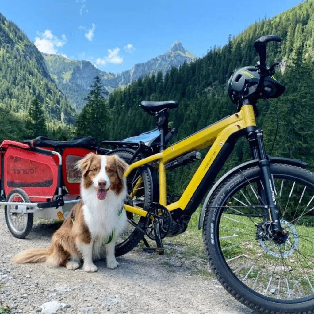 Doggy Tourer Snoopy Medium Dog Bike Trailer