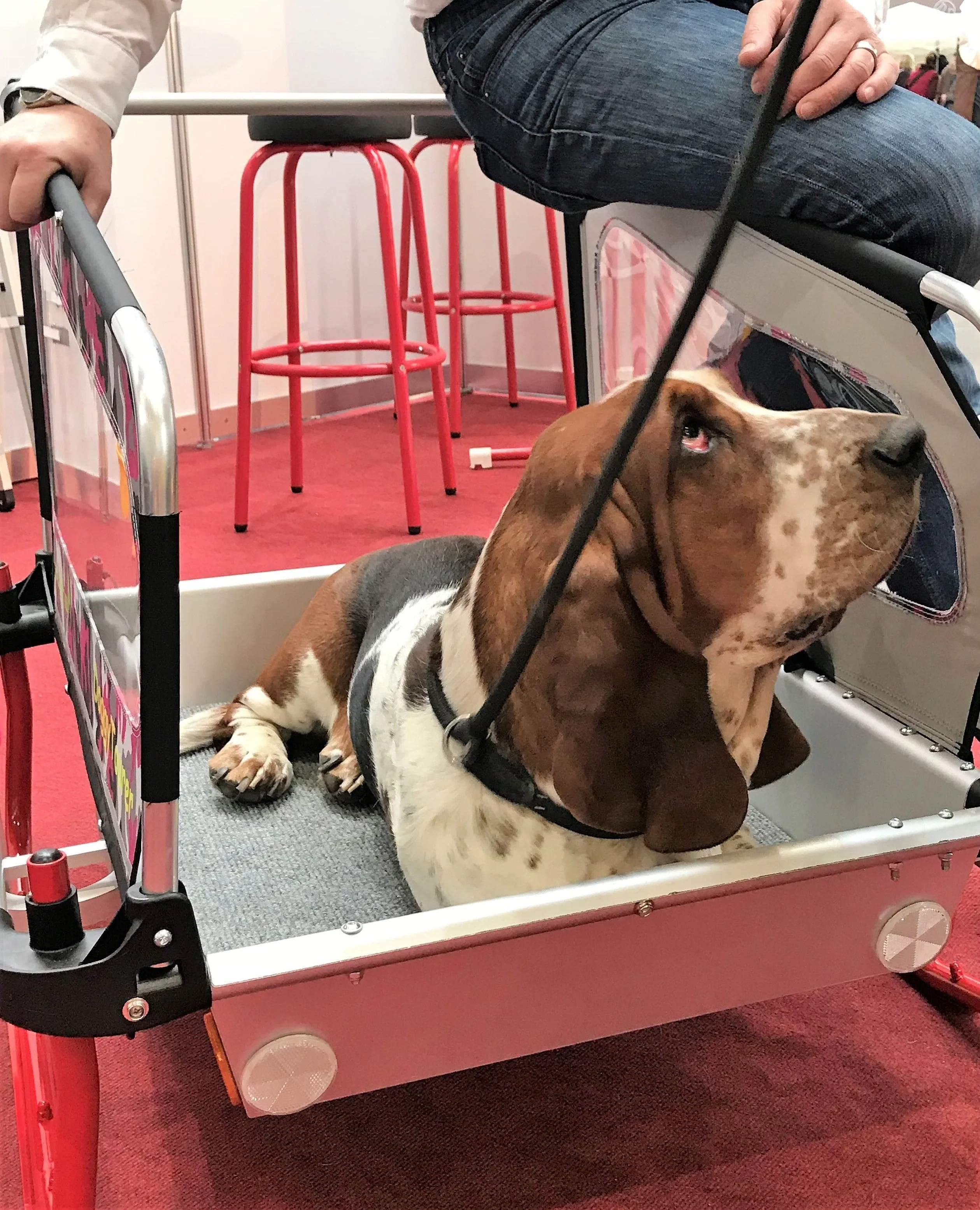 Doggy Tourer Snoopy Medium Dog Bike Trailer