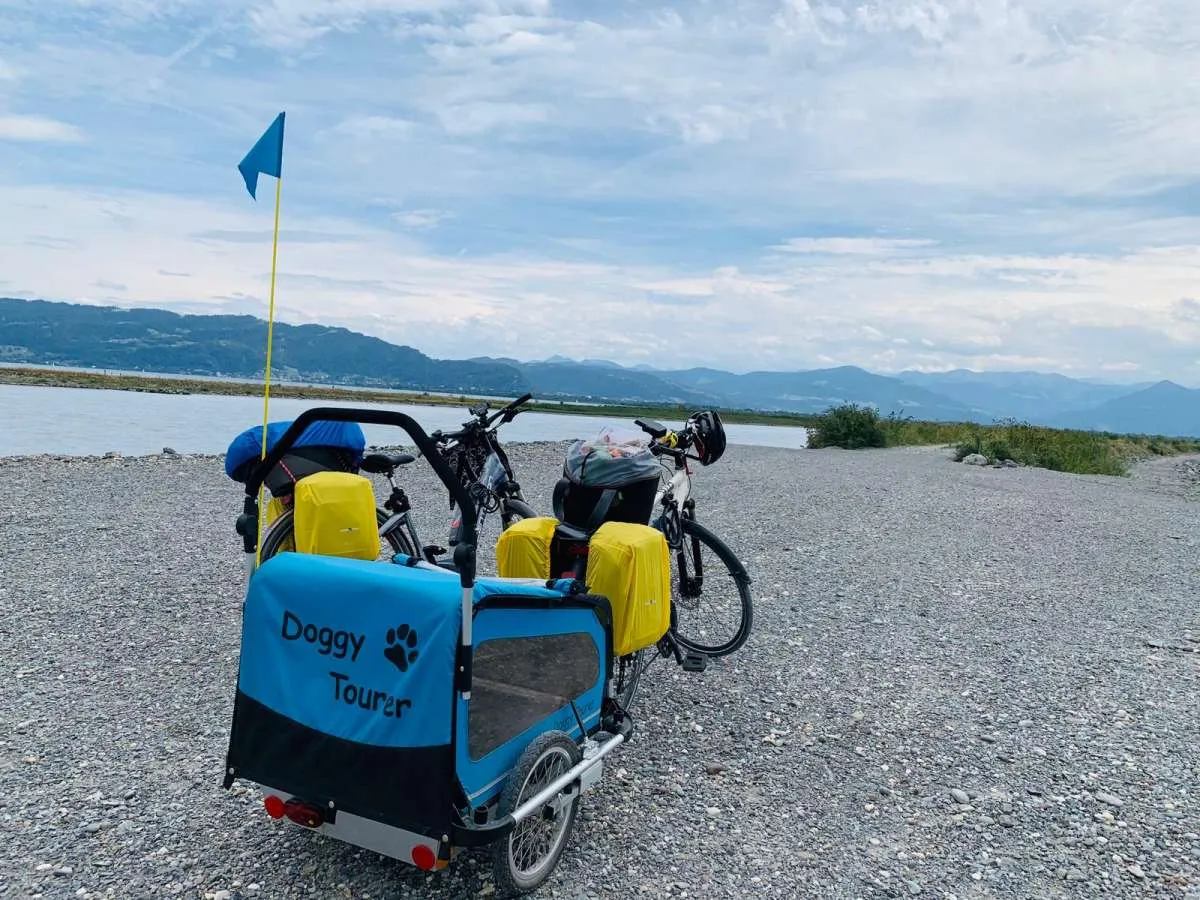 Doggy Tourer Snoopy Medium Dog Bike Trailer