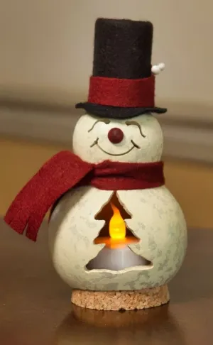 Easton the Miniature Snowman Gourd