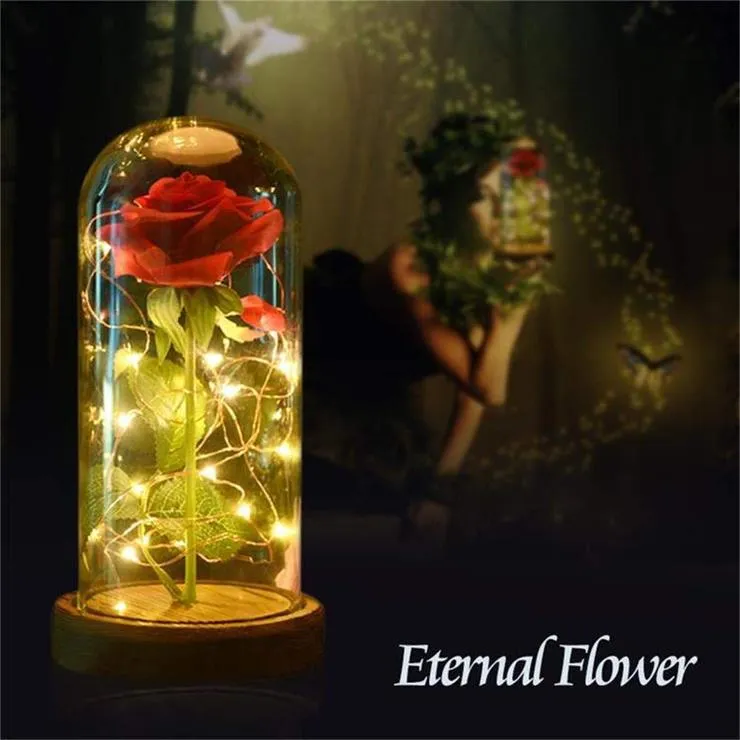 Enchanted Rose Beauty and the Beast Rose Preserved Rose with LED Light Valentine's Day Anniversary Gifts