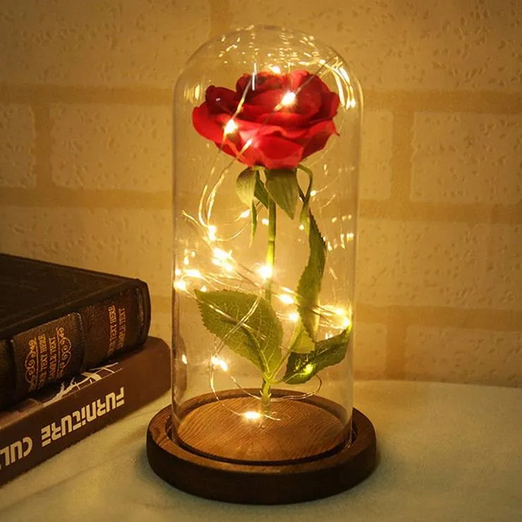 Enchanted Rose Beauty and the Beast Rose Preserved Rose with LED Light Valentine's Day Anniversary Gifts