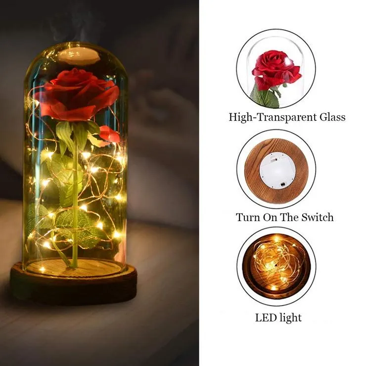 Enchanted Rose Beauty and the Beast Rose Preserved Rose with LED Light Valentine's Day Anniversary Gifts
