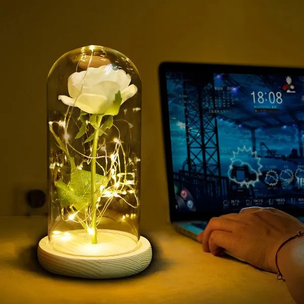 Enchanted Rose Beauty and the Beast Rose Preserved Rose with LED Light Valentine's Day Anniversary Gifts