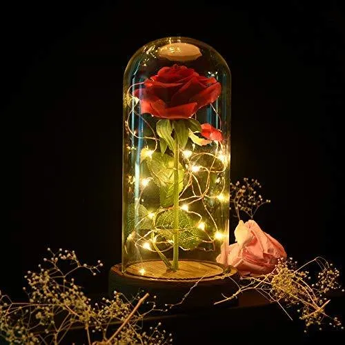 Enchanted Rose Beauty and the Beast Rose Preserved Rose with LED Light Valentine's Day Anniversary Gifts