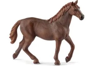 English Thoroughbred Mare
