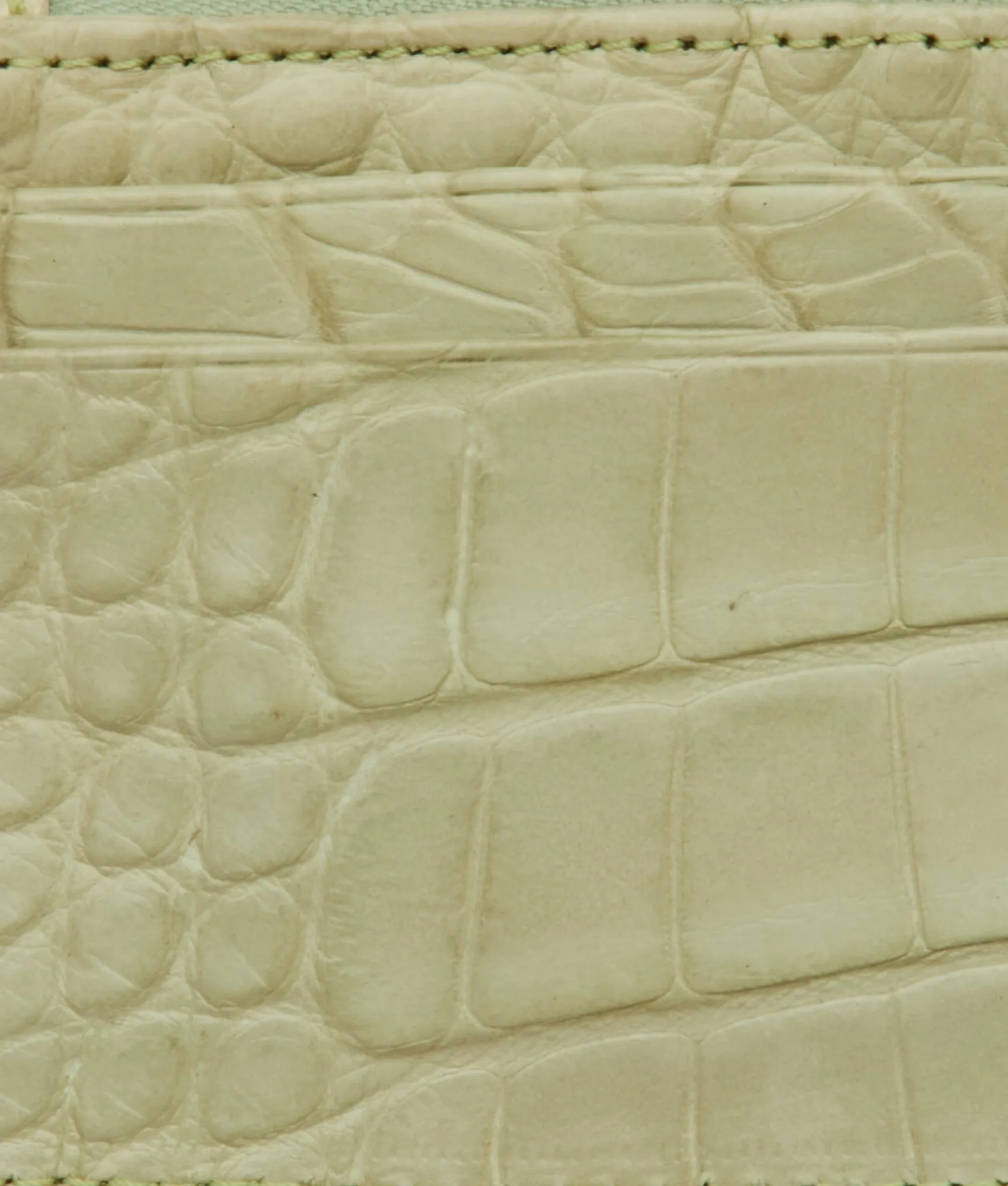 Exotic Keychain Pouch :: Pistachio