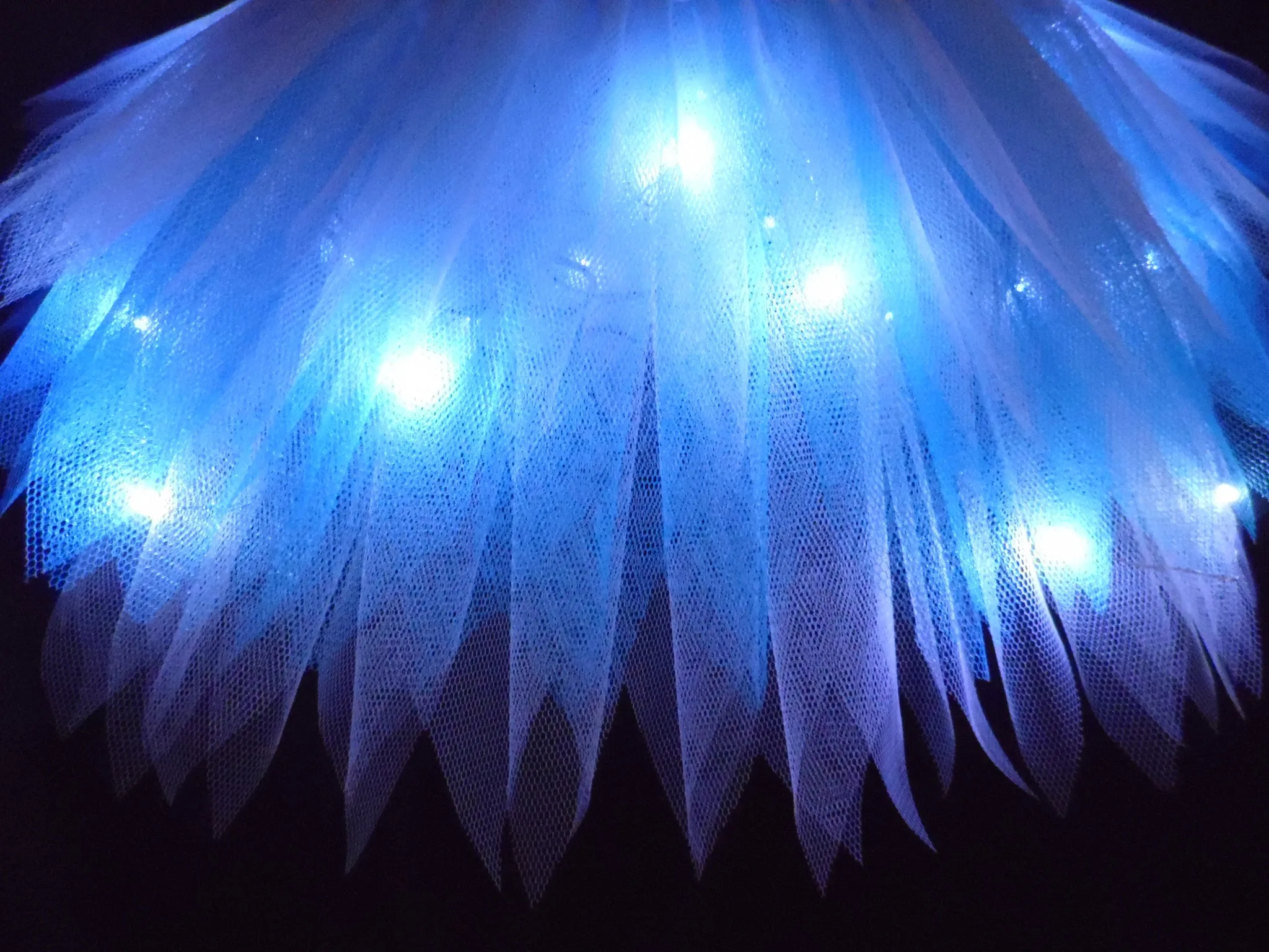Fairy Lights Tutu