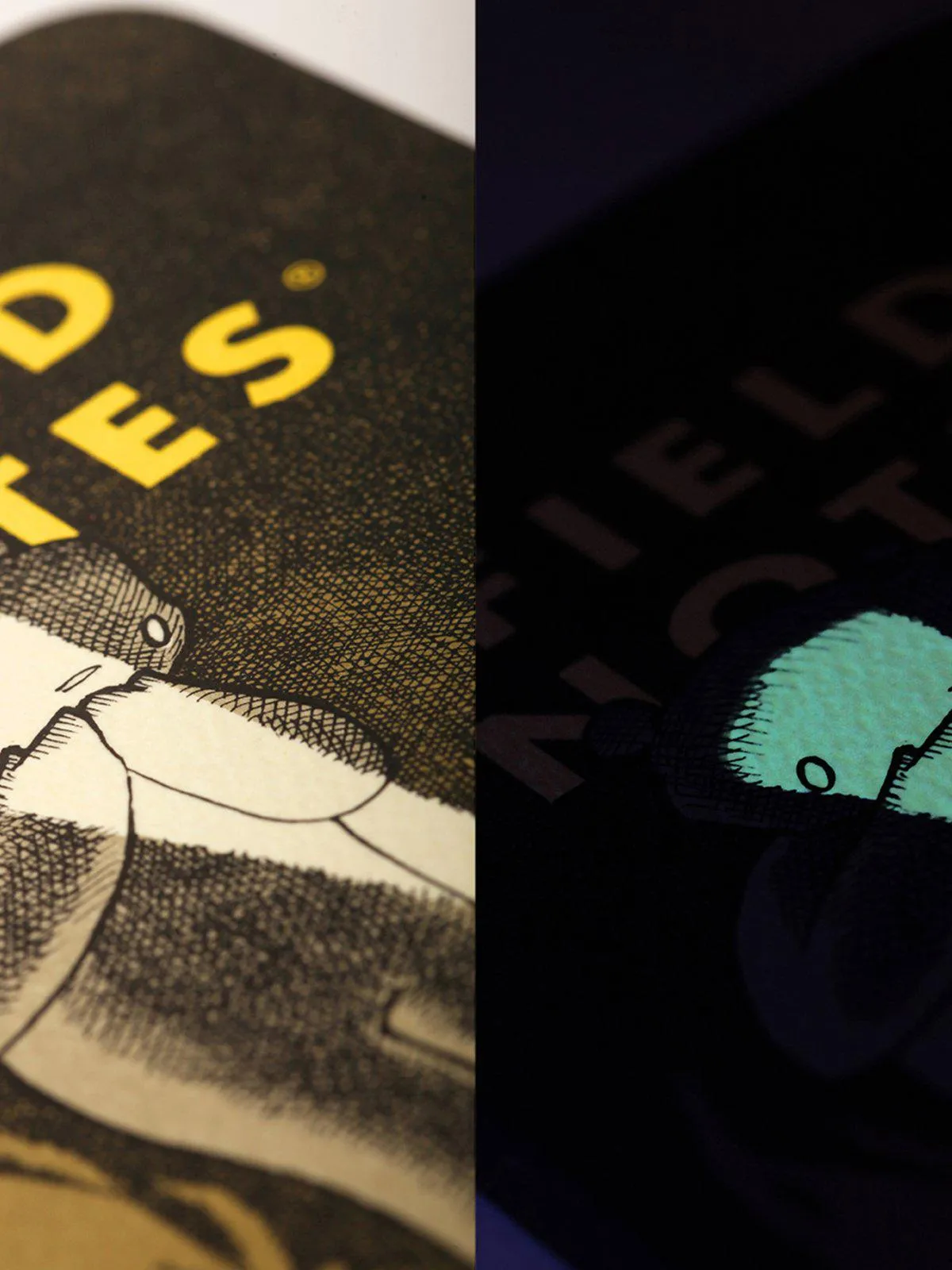 Field Notes Haxley Story & Sketch Book 2 Pack