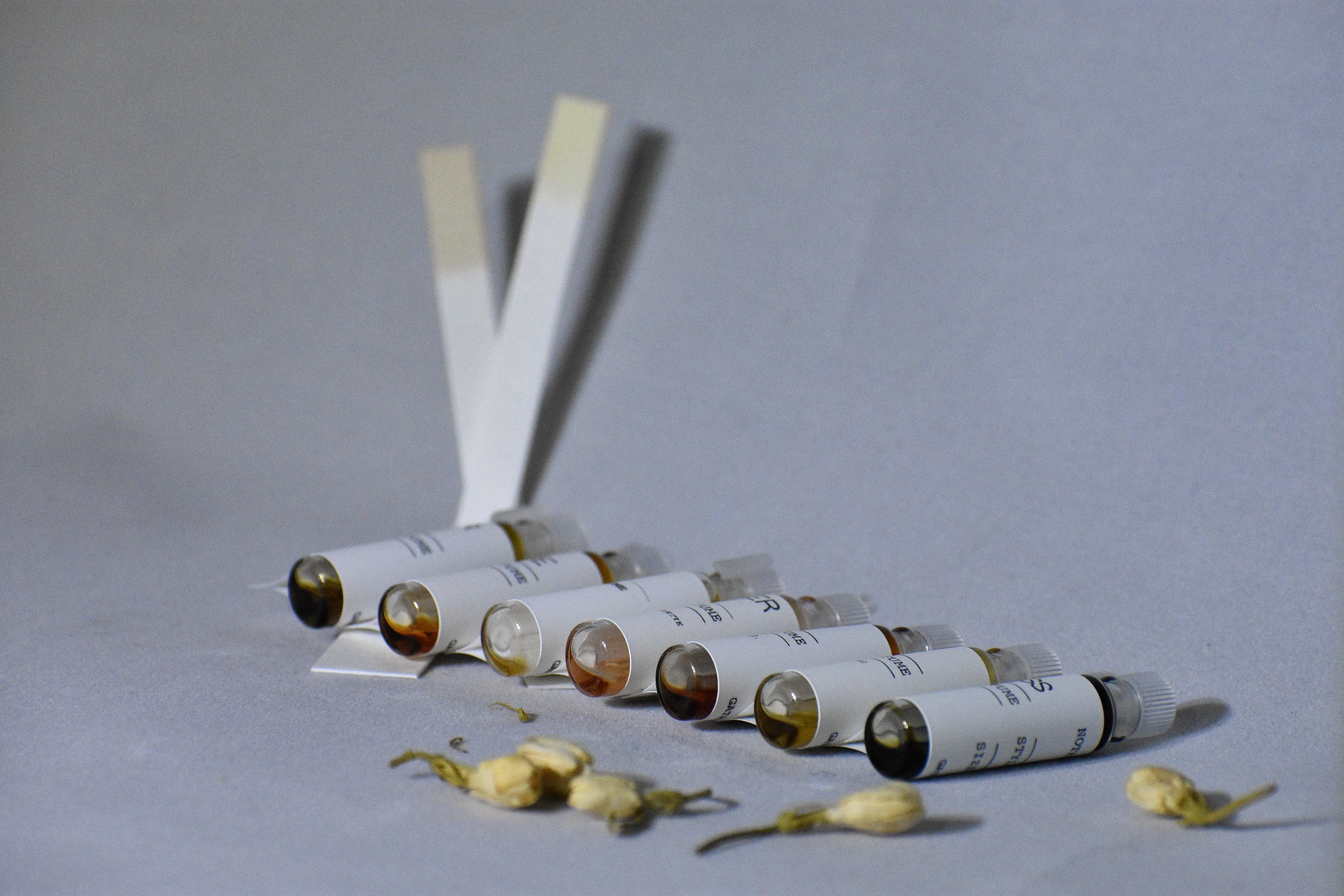 FOLK TALE WEEK | 7 PERFUME PROMPTS | Studio Sketch Sampler, VERY LIMITED 2020 Re-Release
