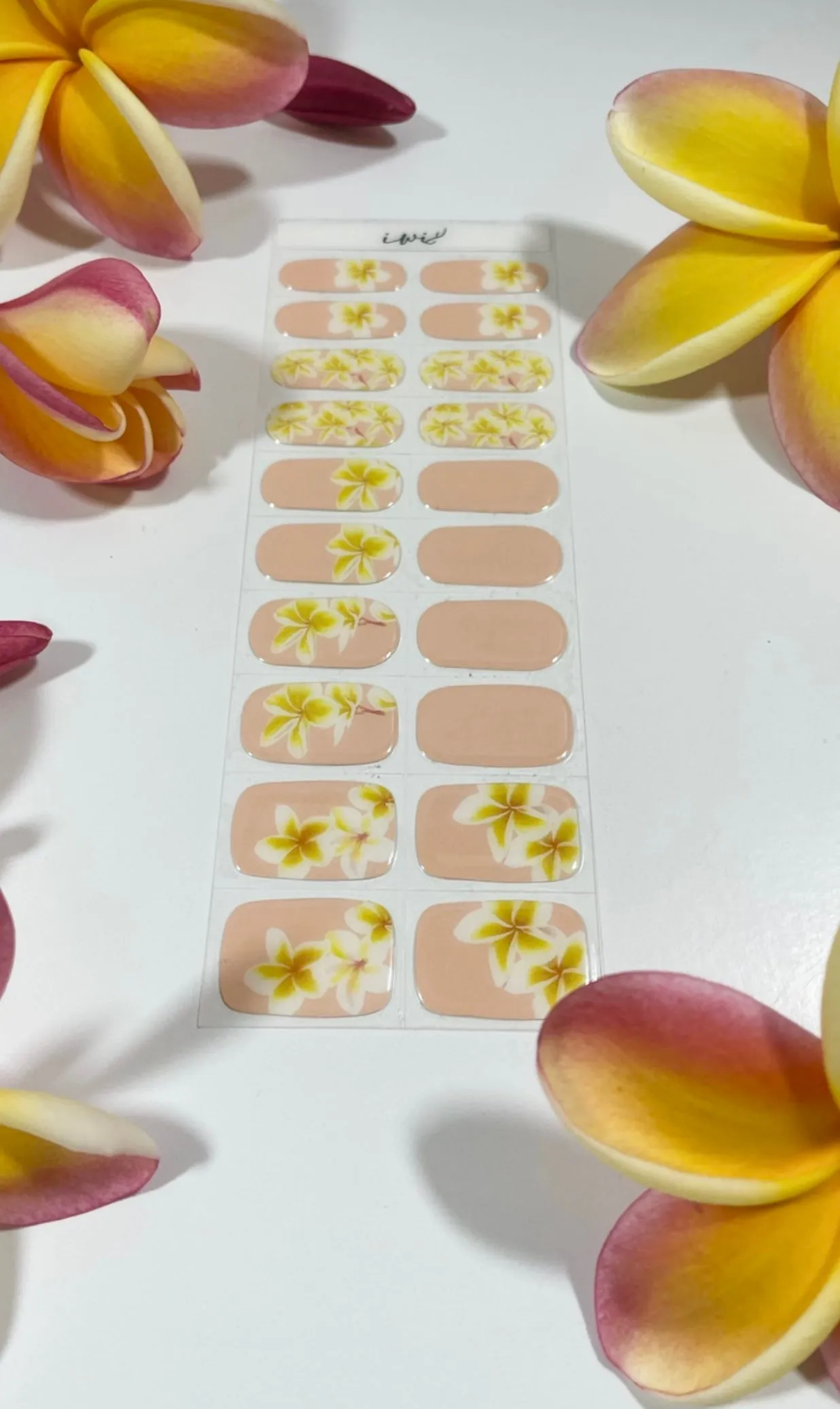 Gel Nail Art: Iwi Nails   ADM