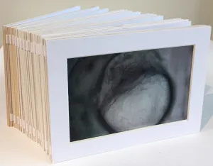 GESTATION by Geraldine Ondrizek