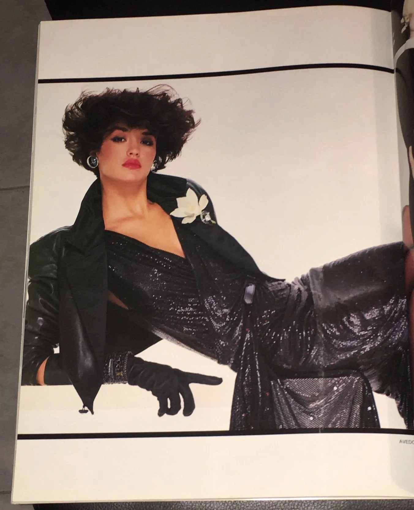Gianni Versace Fall Winter Catalog 1983 RENEE SIMONSEN Avedon ANTONIO LOPEZ