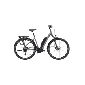Giant EXPRESSION E  E-Bike - Early Espresso