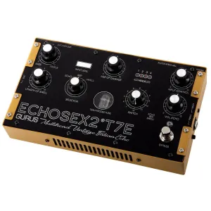 Gurus Echosex 2°T7E model (Real Binson Multihead)
