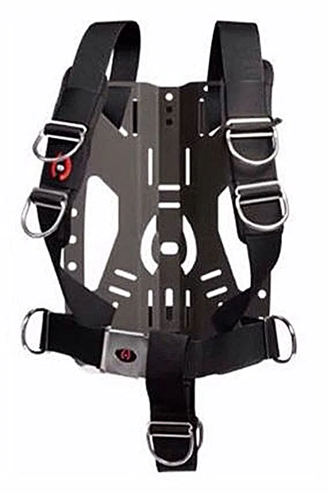 Hollis ST Travel Backplate System
