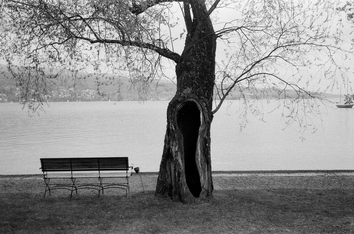 Ilford HP5 Plus - Harman Disposable Camera